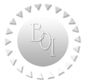 BOI Website Design - Madison, SD